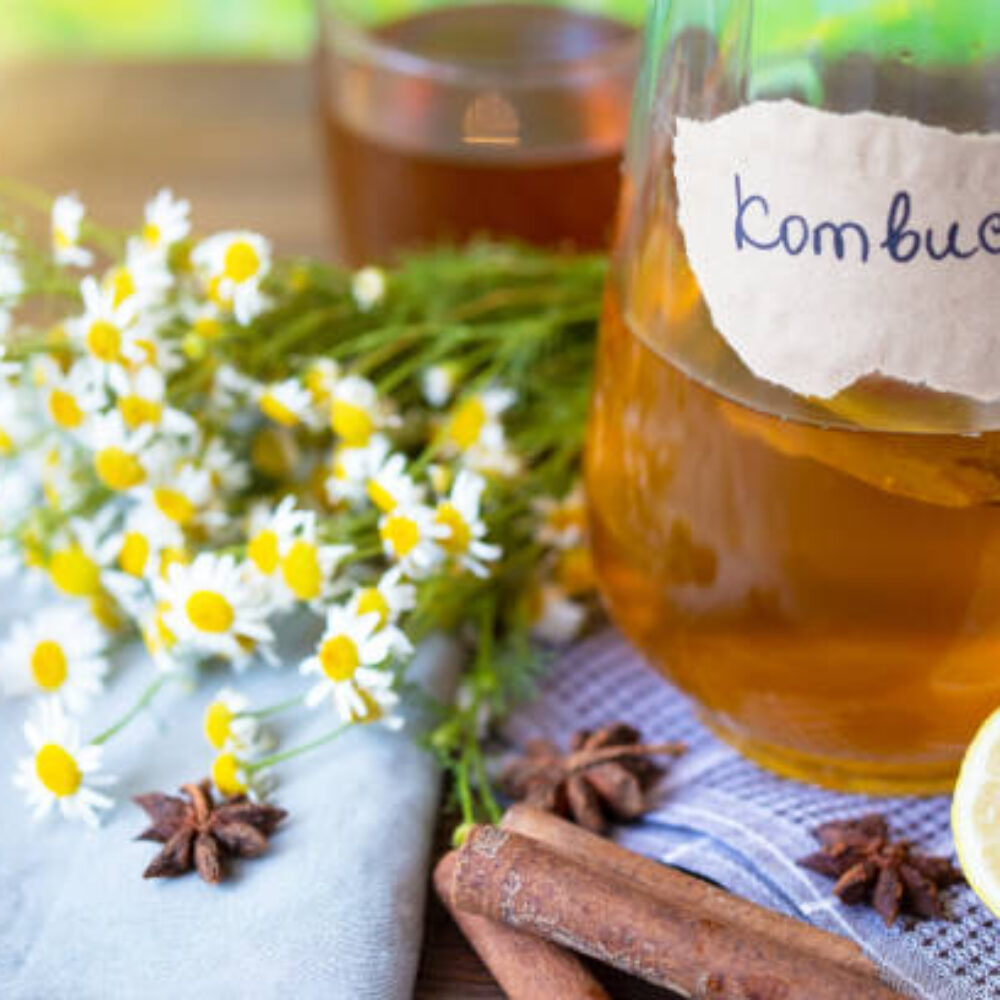 Fermented Tea Benefits and Easy EasyRecipes for Kombucha and Pu-erh Tea