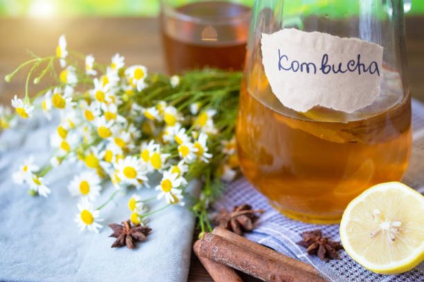 Read more about the article Fermented Tea Benefits and Easy EasyRecipes for Kombucha and Pu-erh Tea