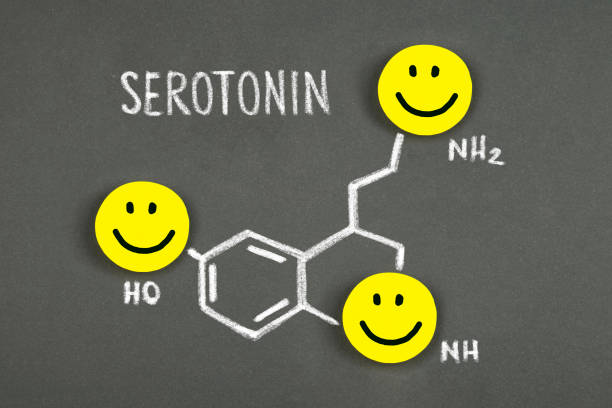 Read more about the article Serotonin