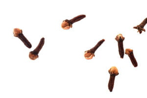 some pieces of clove in white background.