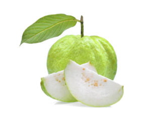 guava cutting pieces with white background. guava is a good fruit to relive constipation