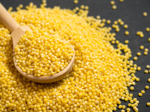 Read more about the article Fermented Foxtail Millets: Way To Add More Fiber In Your Diet