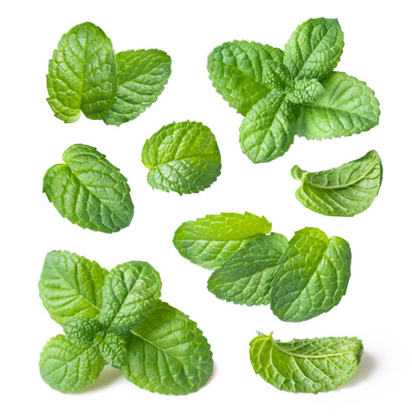 Read more about the article Mint Leaf: A Natural Remedy for Gut Health and More