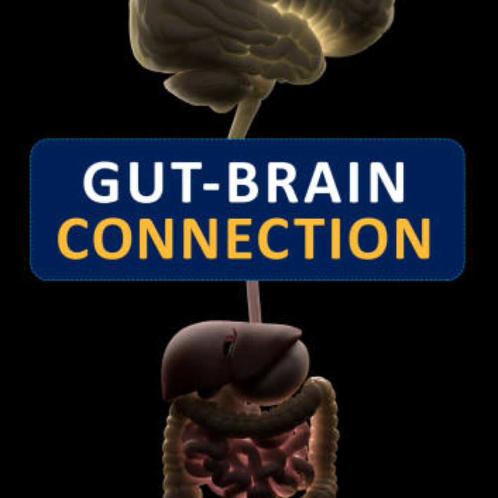 Gut and Brain Connection: How Your Stomach Talks to Your Mind