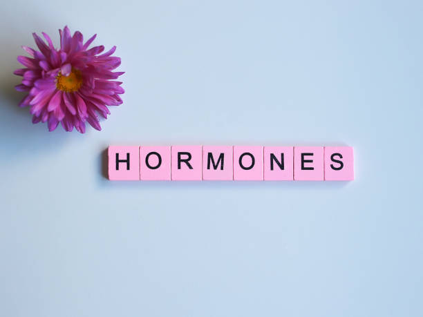 Read more about the article How Hormones Affect Your Gut Health and Ways to Improve It