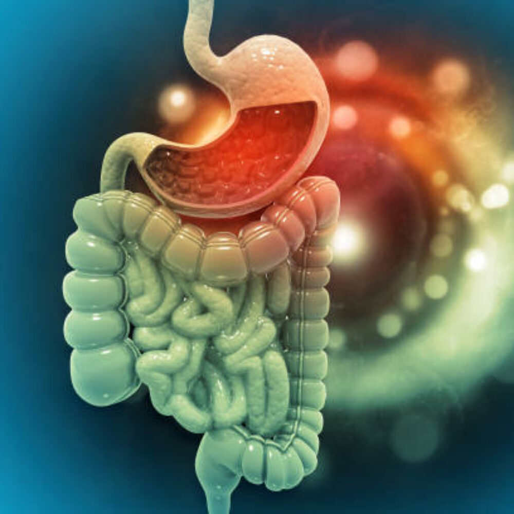 What is Gastric Juice and Acid, and How They Help Digestion?