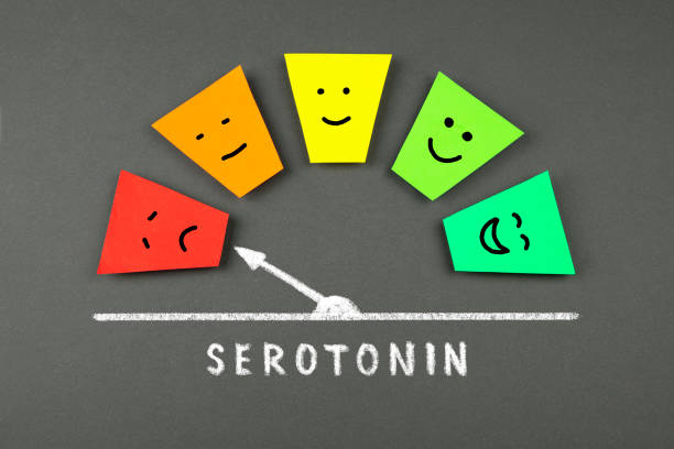 Read more about the article How Serotonin Impacts Your Mood, Sleep, and Gut Health