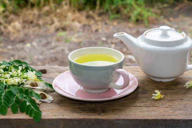 Moringa Tea in cup and fresh green leaf, flower and seeds with teapot on wooden, blur background. Moringa oleifera tropical herb healthy lifestyle concept.