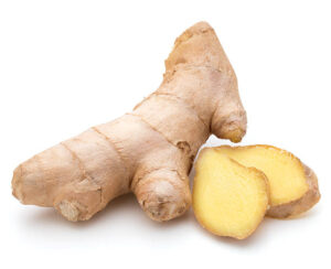 Fresh ginger root or rhizome isolated on white background cutout