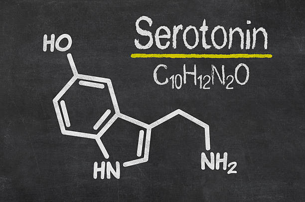 Blackboard with the chemical formula of serotonin